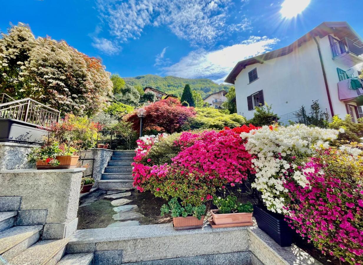 Eden Sul Lago Di Como Nesso Esterno foto