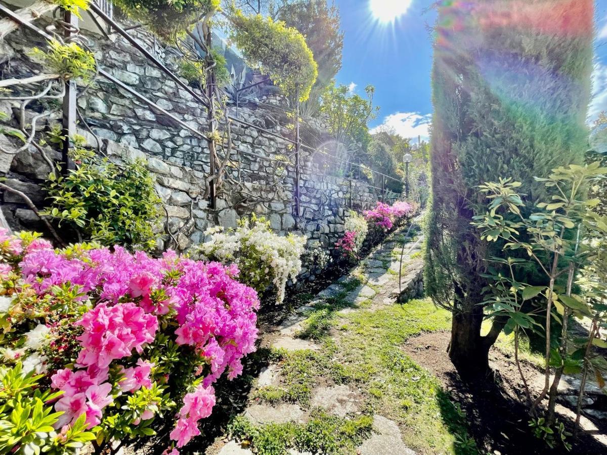 Eden Sul Lago Di Como Nesso Esterno foto